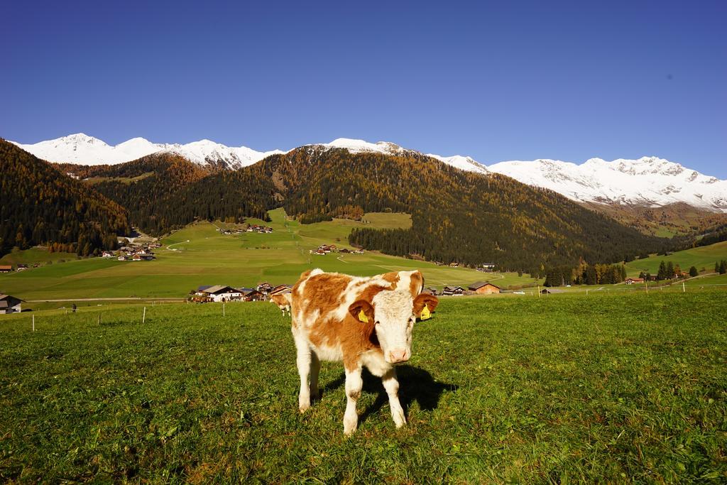 Unterhabererhof Lägenhet Santa Maddalena in Casies Exteriör bild