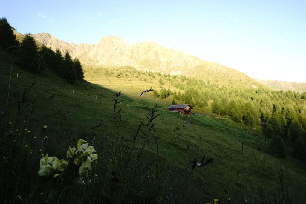 Unterhabererhof Lägenhet Santa Maddalena in Casies Exteriör bild