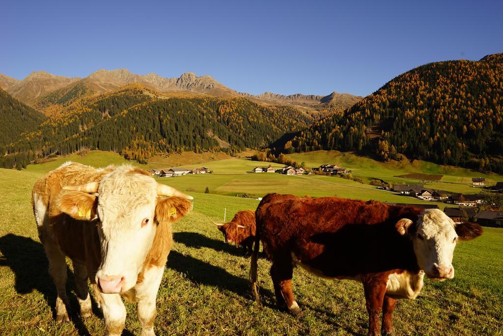 Unterhabererhof Lägenhet Santa Maddalena in Casies Exteriör bild
