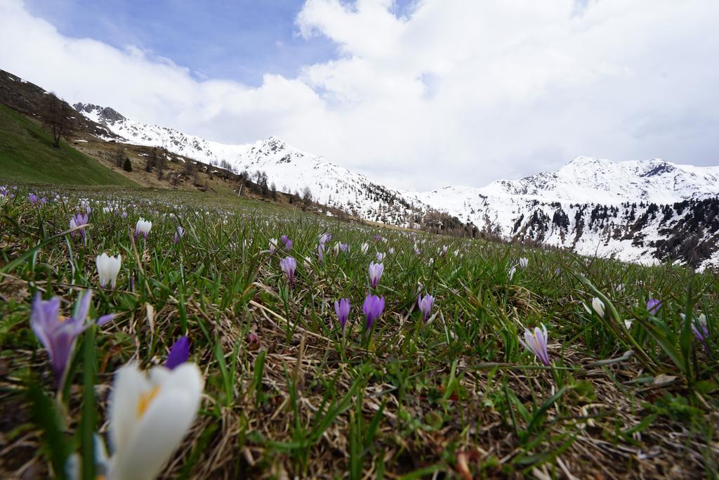Unterhabererhof Lägenhet Santa Maddalena in Casies Exteriör bild