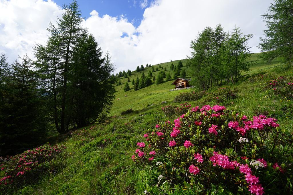 Unterhabererhof Lägenhet Santa Maddalena in Casies Exteriör bild