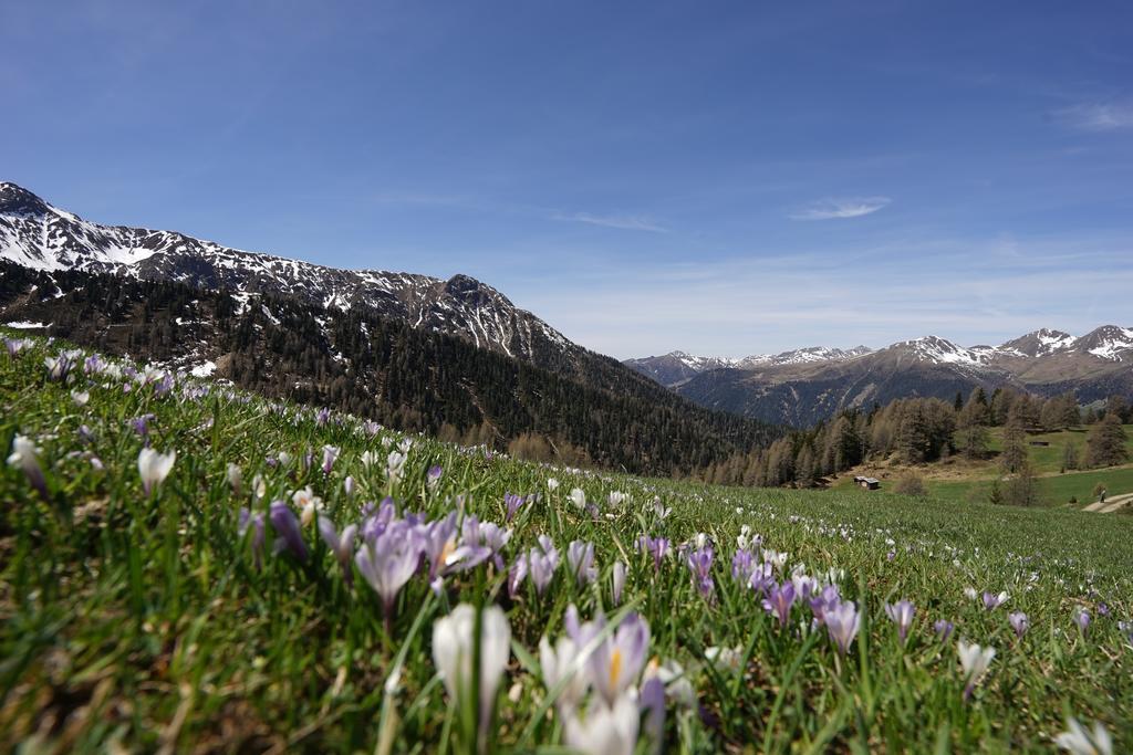 Unterhabererhof Lägenhet Santa Maddalena in Casies Exteriör bild