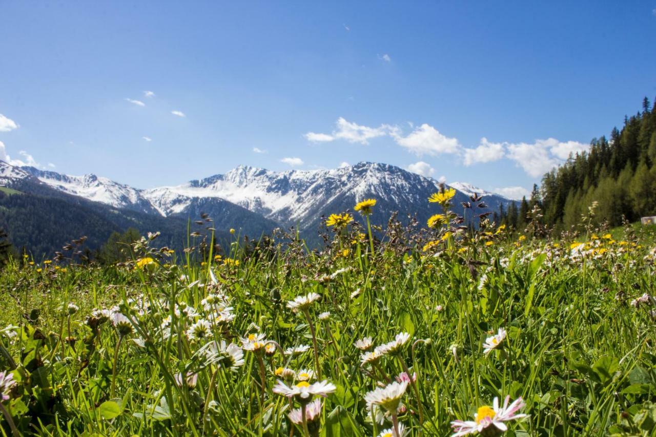 Unterhabererhof Lägenhet Santa Maddalena in Casies Exteriör bild