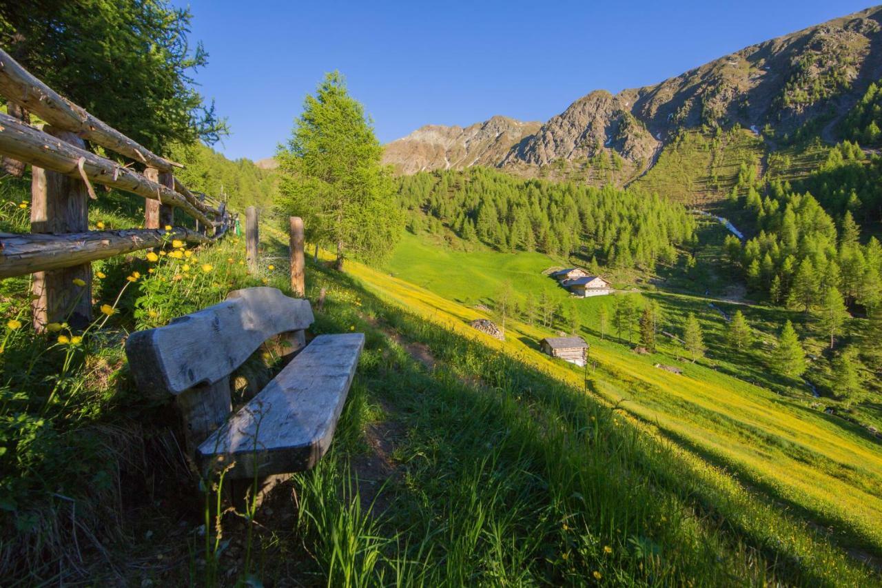 Unterhabererhof Lägenhet Santa Maddalena in Casies Exteriör bild
